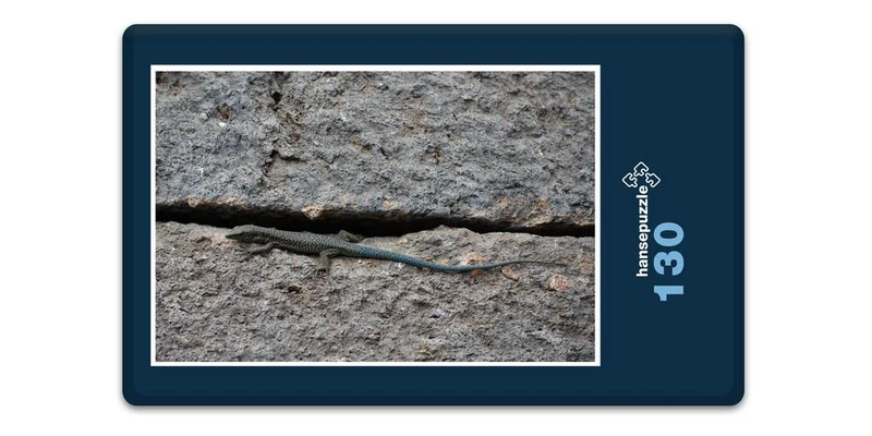 17814 Tierwelt - Echse in Mauer Puzzle