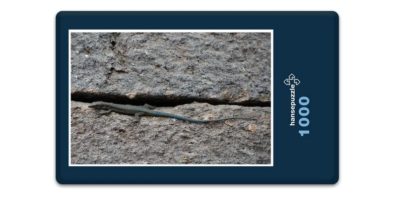 17814 Tierwelt - Echse in Mauer Puzzle