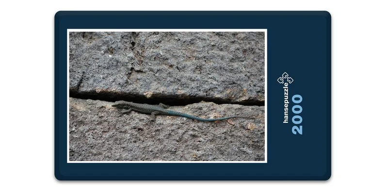 17814 Tierwelt - Echse in Mauer Puzzle