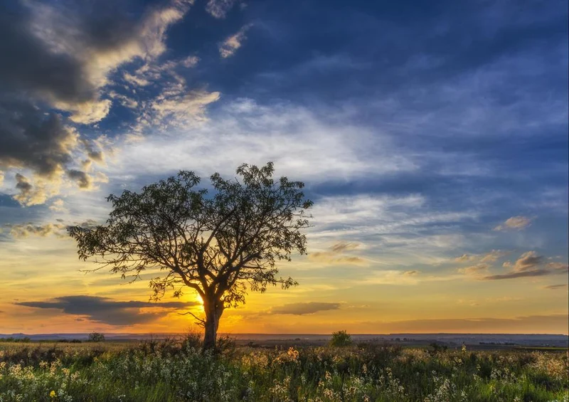 17816 Natur - Sonnenuntergang Puzzle