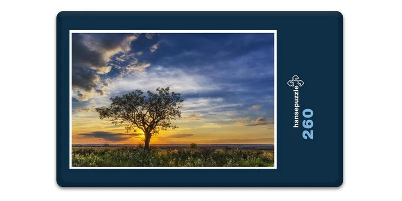 17816 Natur - Sonnenuntergang Puzzle