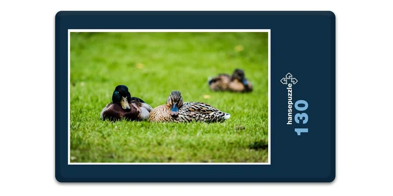 17818 Tierwelt - Enten-Paar Puzzle