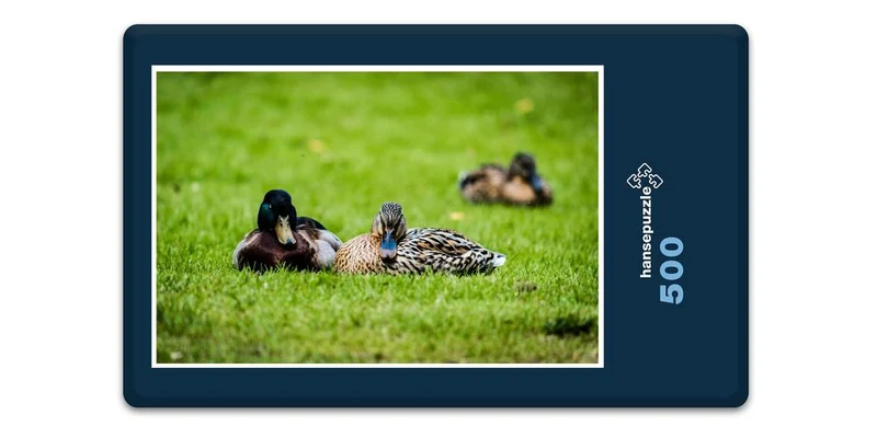 17818 Tierwelt - Enten-Paar Puzzle