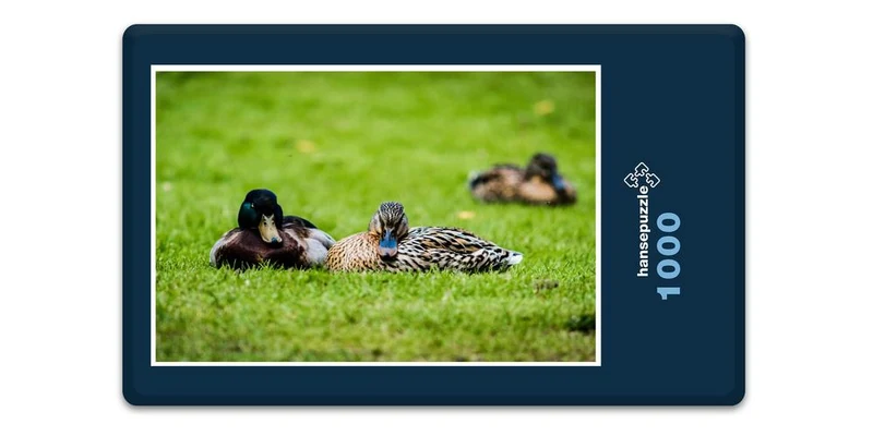 17818 Tierwelt - Enten-Paar Puzzle