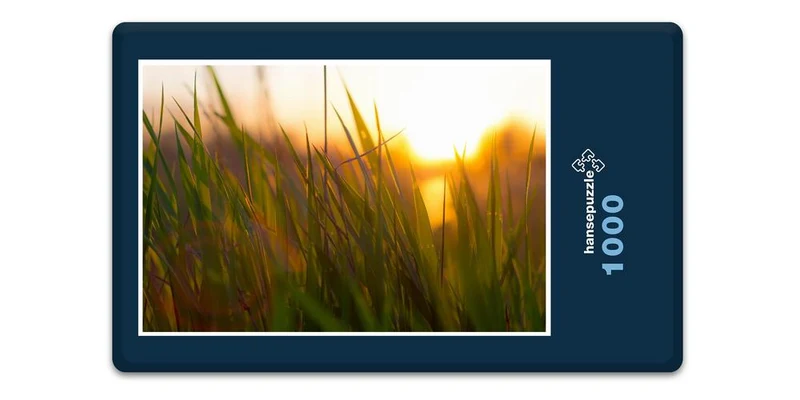 17819 Natur - Gras Puzzle