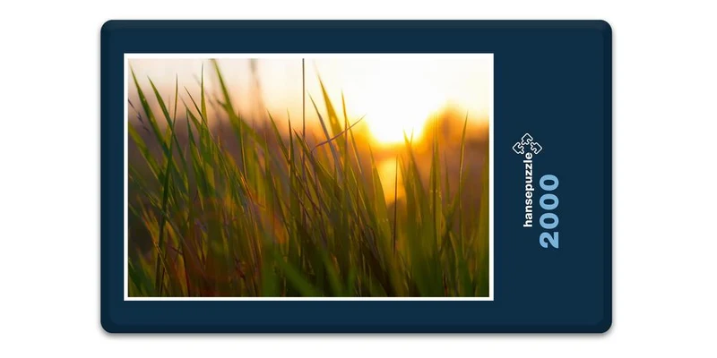 17819 Natur - Gras Puzzle