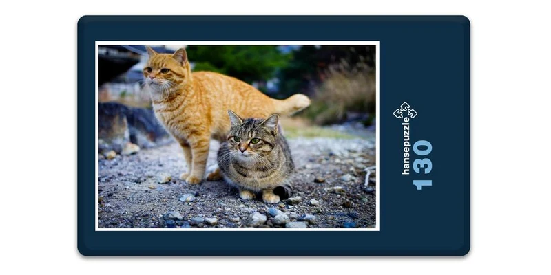 17970 Tierwelt - Katzen Puzzle