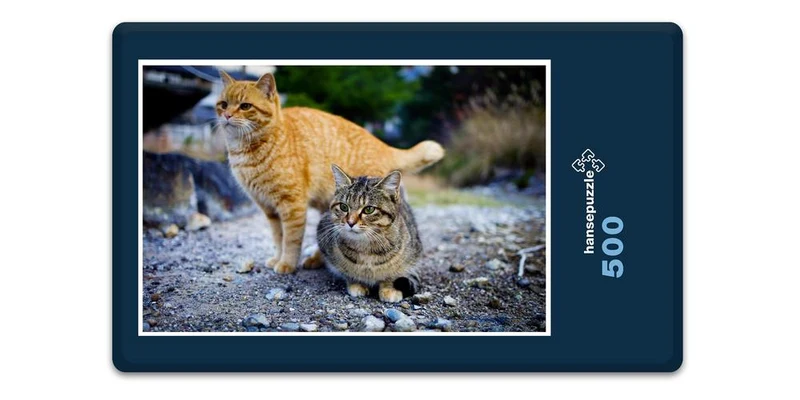 17970 Tierwelt - Katzen Puzzle