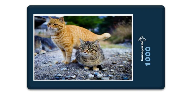 17970 Tierwelt - Katzen Puzzle