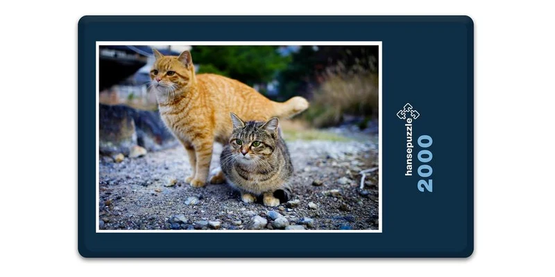 17970 Tierwelt - Katzen Puzzle