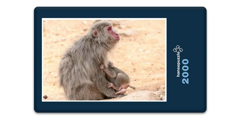 17971 Tierwelt - Affen-Familie Puzzle