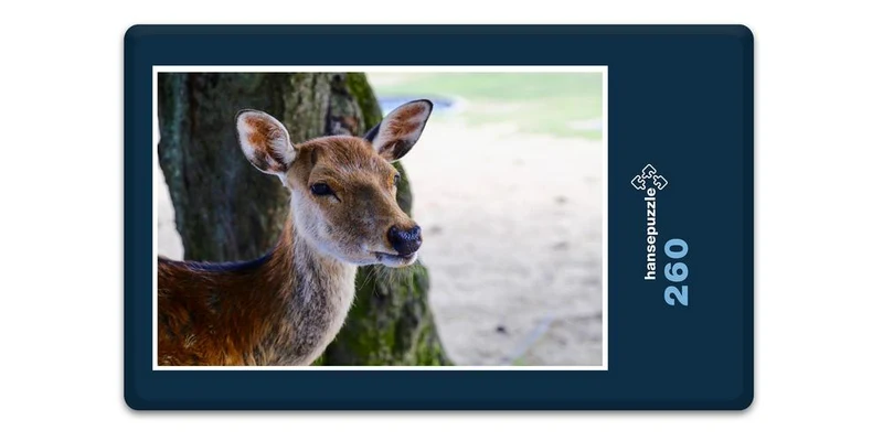 17972 Tierwelt - Reh Puzzle