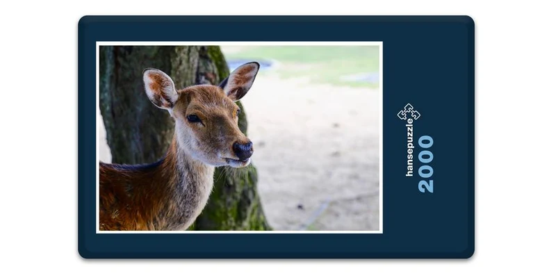 17972 Tierwelt - Reh Puzzle