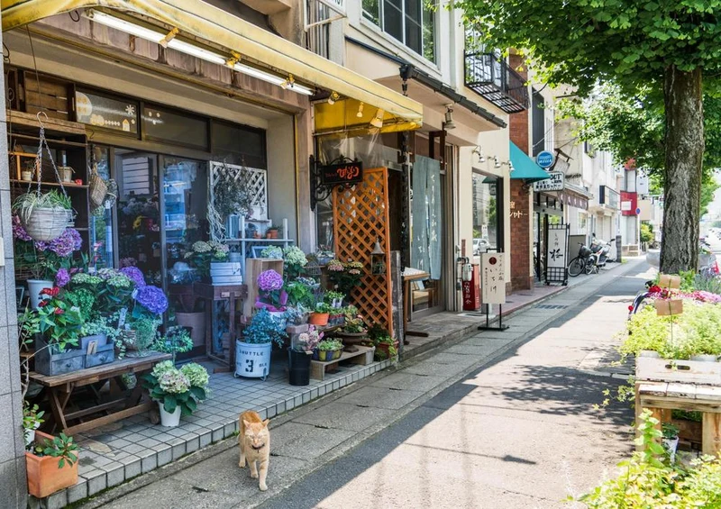 25117 Orte - Blumen-Geschäft Puzzle