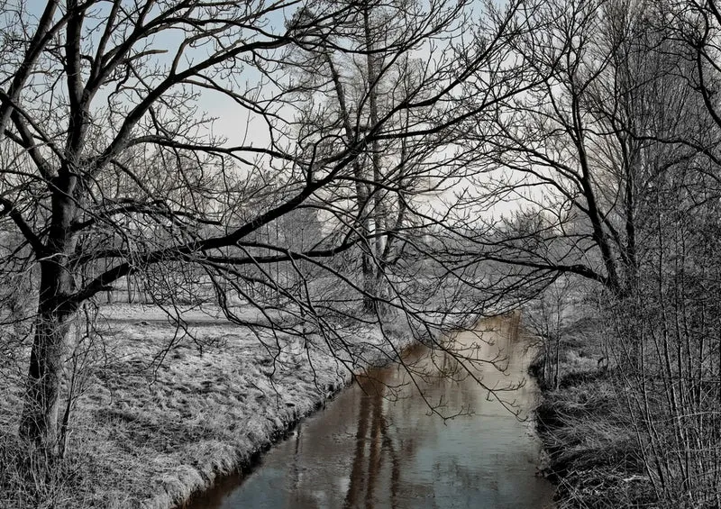 37345 Natur - Winterlandschaft Puzzle