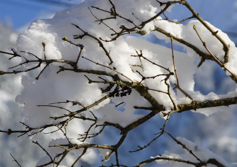 37314 Natur - Schnee Puzzle