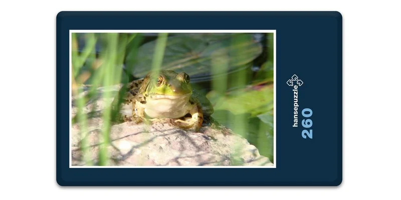 17859 Tierwelt - Frosch am See Puzzle