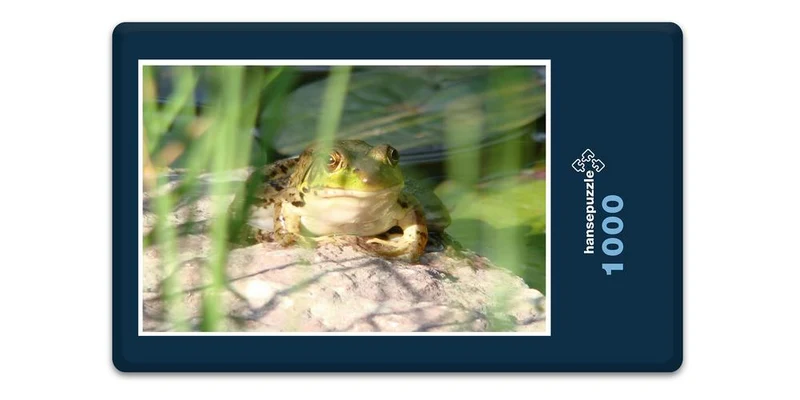 17859 Tierwelt - Frosch am See Puzzle