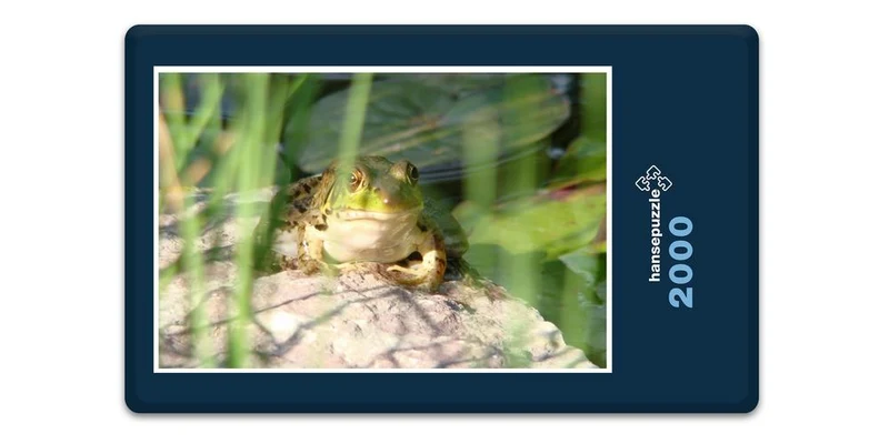 17859 Tierwelt - Frosch am See Puzzle