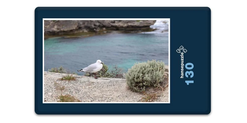17861 Tierwelt - Wasser-Vogel Puzzle