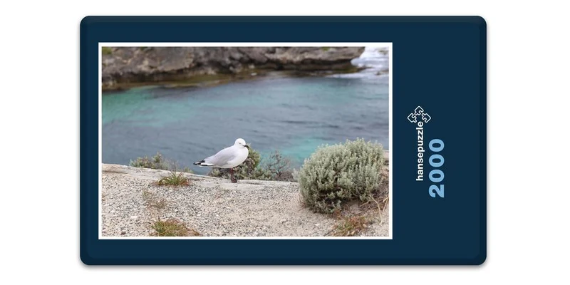 17861 Tierwelt - Wasser-Vogel Puzzle