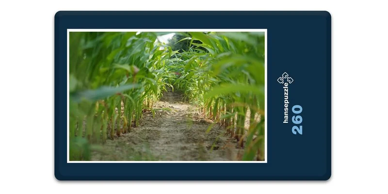 17863 Tierwelt - Mais-Labyrinth Puzzle