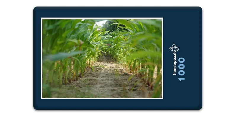 17863 Tierwelt - Mais-Labyrinth Puzzle