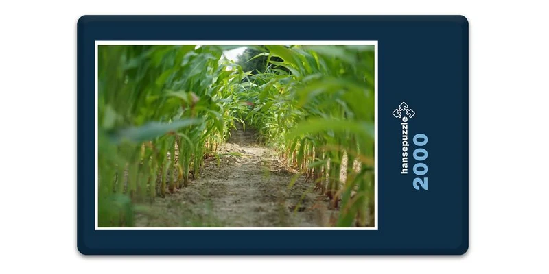17863 Tierwelt - Mais-Labyrinth Puzzle