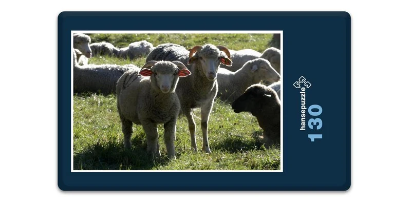17864 Tierwelt - Schafe auf Weide Puzzle