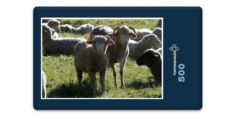 17864 Tierwelt - Schafe auf Weide Puzzle