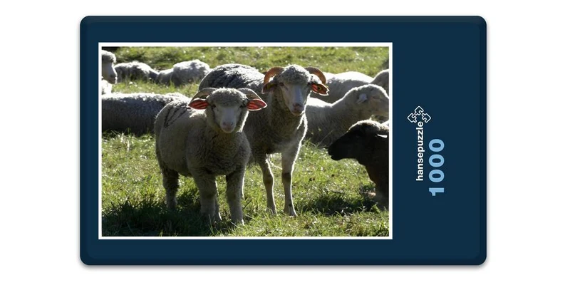 17864 Tierwelt - Schafe auf Weide Puzzle
