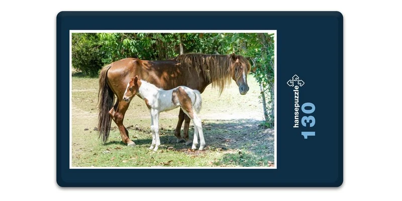 17866 Tierwelt - Pferd und Fohlen Puzzle