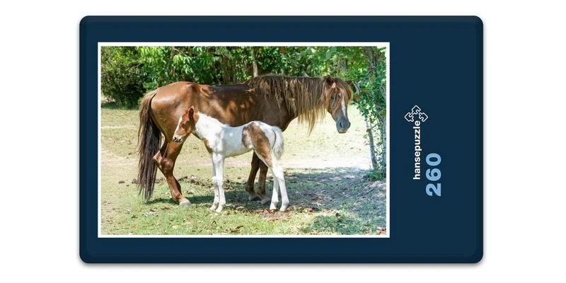 17866 Tierwelt - Pferd und Fohlen Puzzle