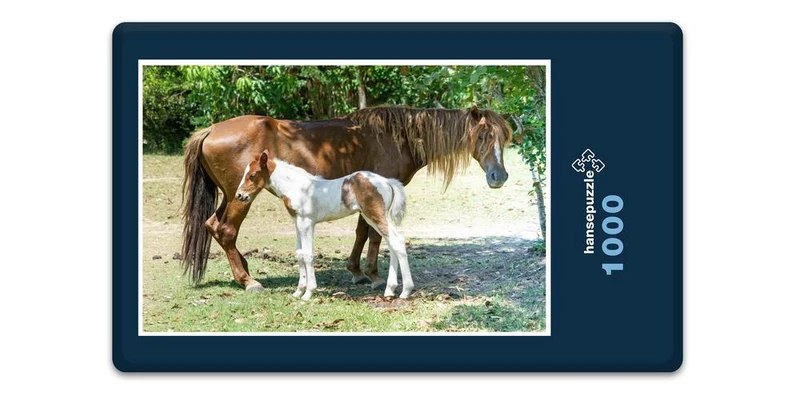 17866 Tierwelt - Pferd und Fohlen Puzzle