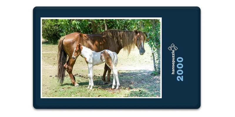 17866 Tierwelt - Pferd und Fohlen Puzzle