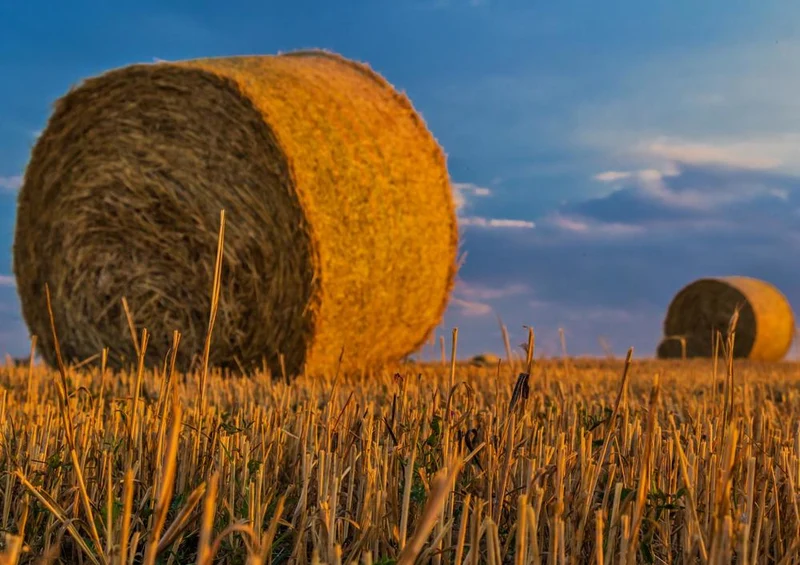 17868 Natur - Stroh-Ballen Puzzle