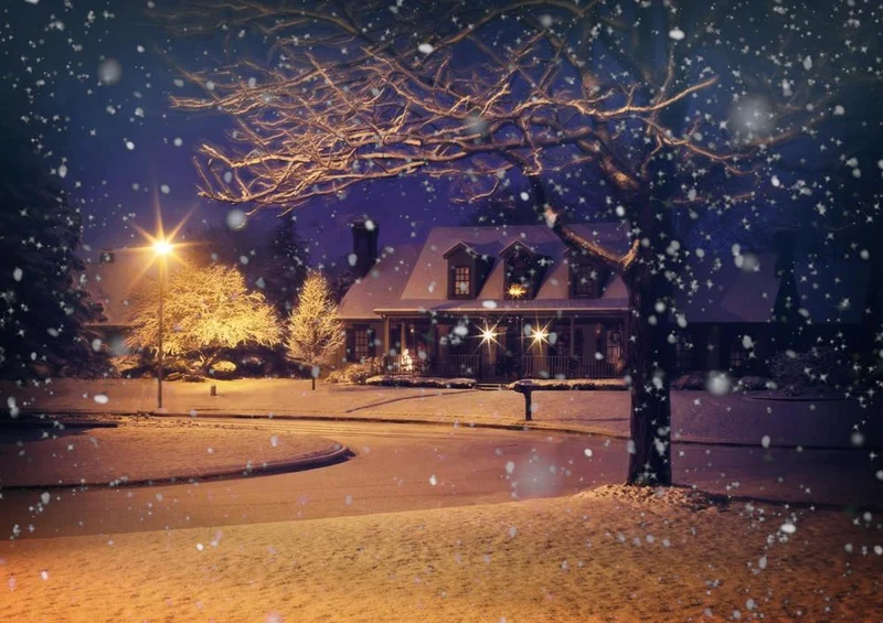 17911 Natur - Winter-Wunderland Puzzle