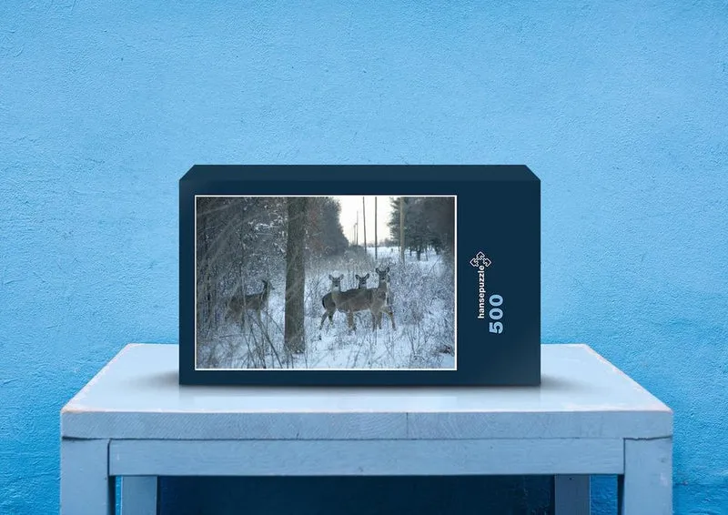 42758 Tierwelt - Rehe im Wald Puzzle