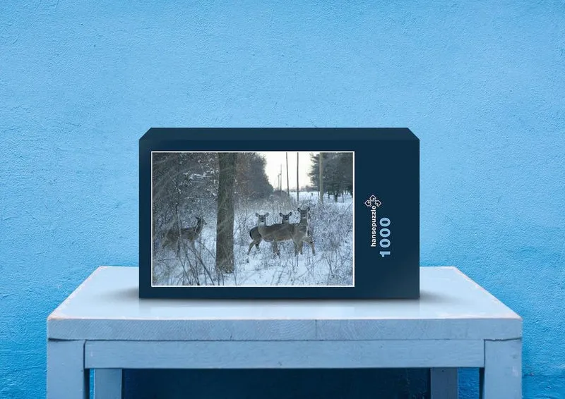 42758 Tierwelt - Rehe im Wald Puzzle