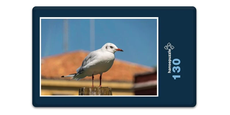 17938 Tierwelt - Möwe Puzzle