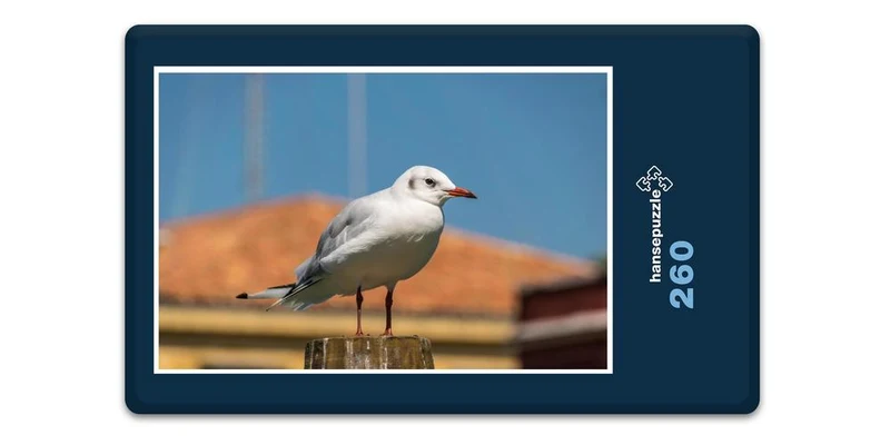 17938 Tierwelt - Möwe Puzzle