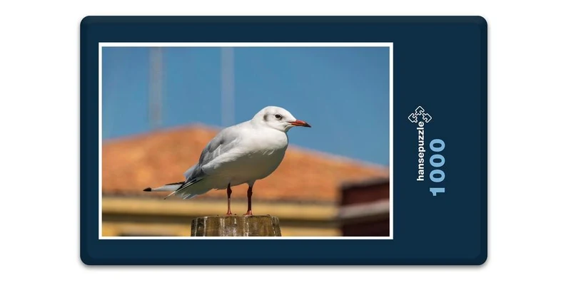 17938 Tierwelt - Möwe Puzzle
