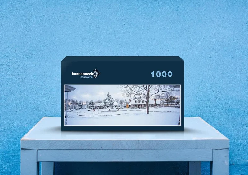 42987 Fortbewegung - Winter Puzzle