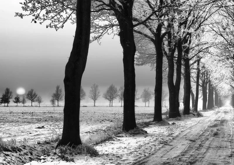 37289 Natur - Winter Puzzle