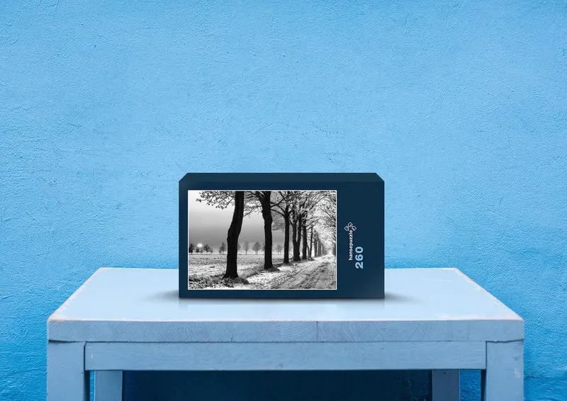 37289 Natur - Winter Puzzle