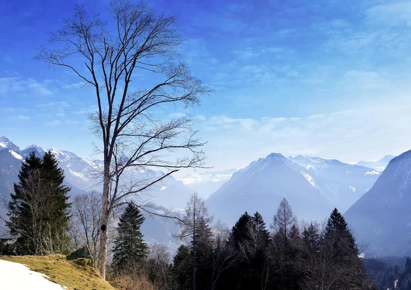 25499 Natur - Bergblick Puzzle