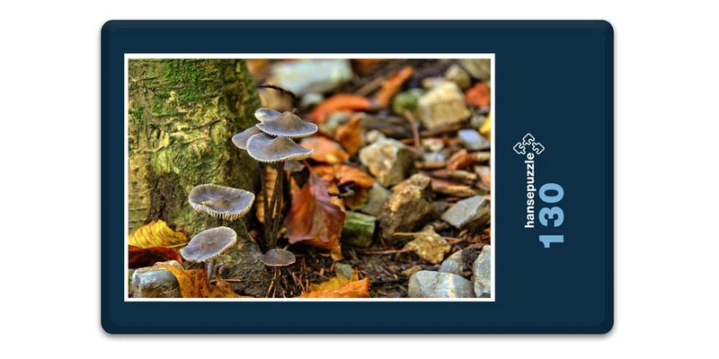 18018 Natur - Stein-Pilze Puzzle