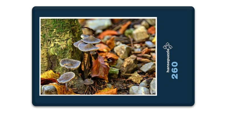 18018 Natur - Stein-Pilze Puzzle