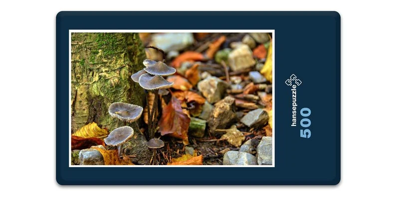 18018 Natur - Stein-Pilze Puzzle