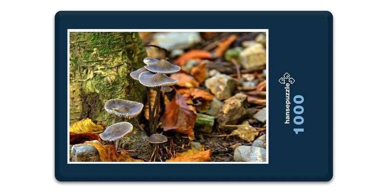 18018 Natur - Stein-Pilze Puzzle